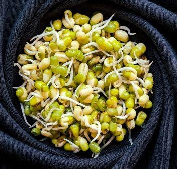 Sprouts - Instant Energy Food