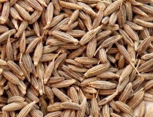 cumin seed spices health benefits
