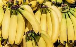 banana - a healthy fruits