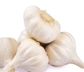 Garlic spices health benefits
