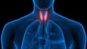 Thyroid symptoms