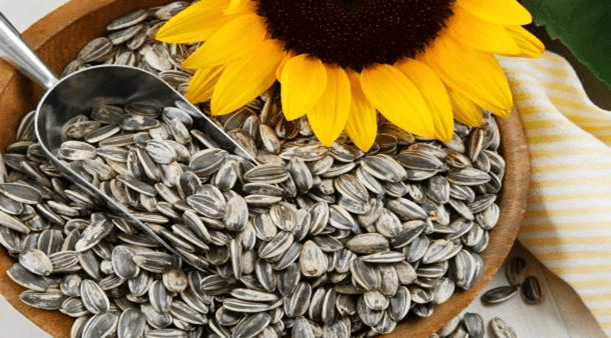 Sunflower Seeds - healthy food