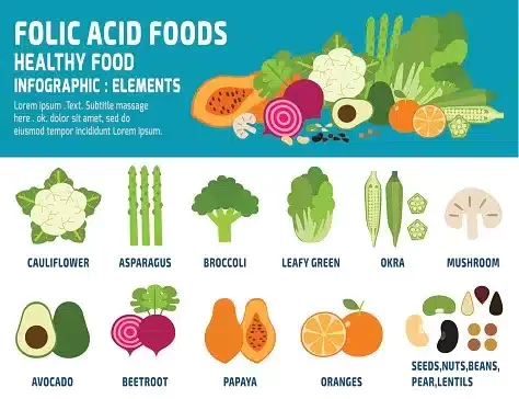 Folic Acid Food Sources - Vitamins that are essential for maintaining Male Fertility