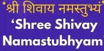 "Shree Shivay Namastubhyam" - Vedic mantras to chant for a soulful meditation