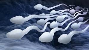 Vitamins that are essential for Male Fertility & Sperm health