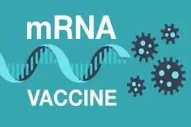 What is an mRNA vaccine?