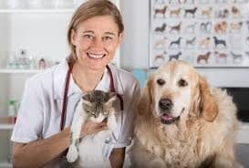 pet Animal Health and Wellness