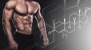 testosterone booster