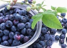 health benefits of blue berries