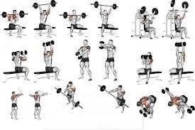 shoulder workouts - daily gym tips