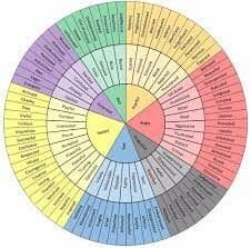 emotion wheel