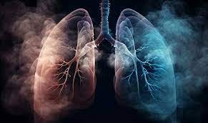 quit smoking will my lungs heal