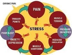 Causes of Stress: Understanding Triggers and StrategiesCauses of Stress: Understanding Triggers and Strategies