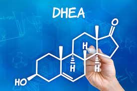 dhea supplements