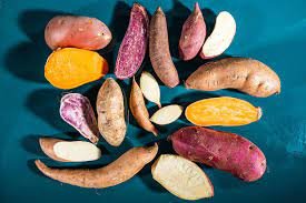 sweet potato - sweet potatoes