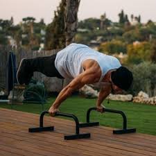 Calisthenics Bodyweight Training