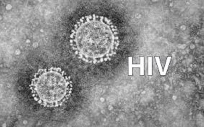 New Assay Test Developed in the U.S. for Persistent African HIV Strains