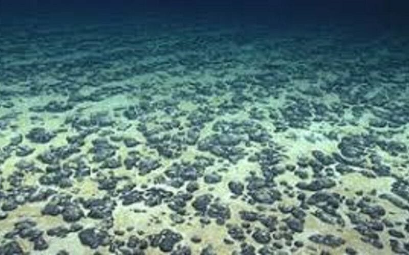 Mystery of Dark Oxygen Found 13,000 Feet Deep in Pacific Ocean