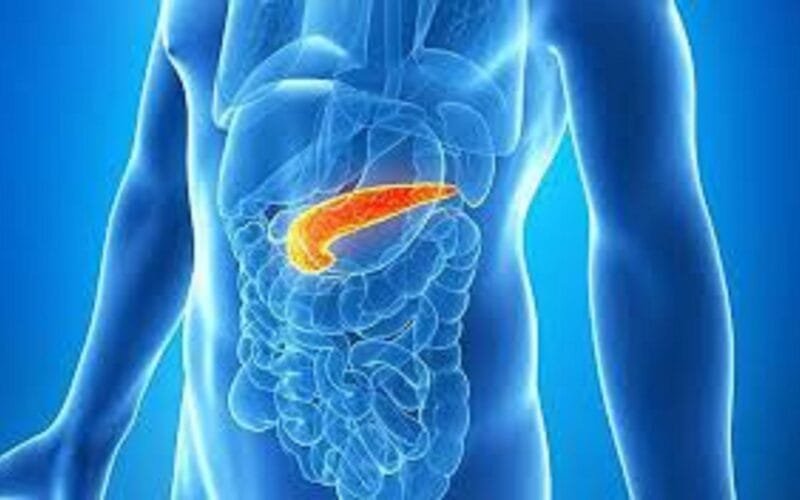 Pancreatic Attack