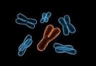 Y Chromosomes Disappearing