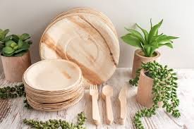Areca Palm Leaves plates