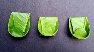 mango leaves plates
