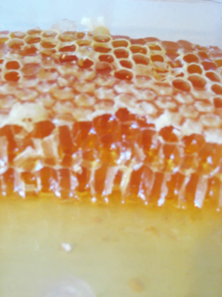 honey