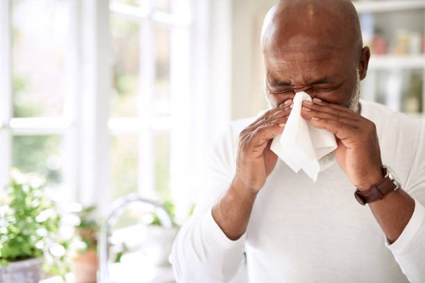 7 Most Common Indoor Allergy Triggers and How to Beat Them