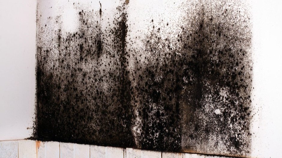 7 Most Common Indoor Allergy Triggers and How to Beat Them