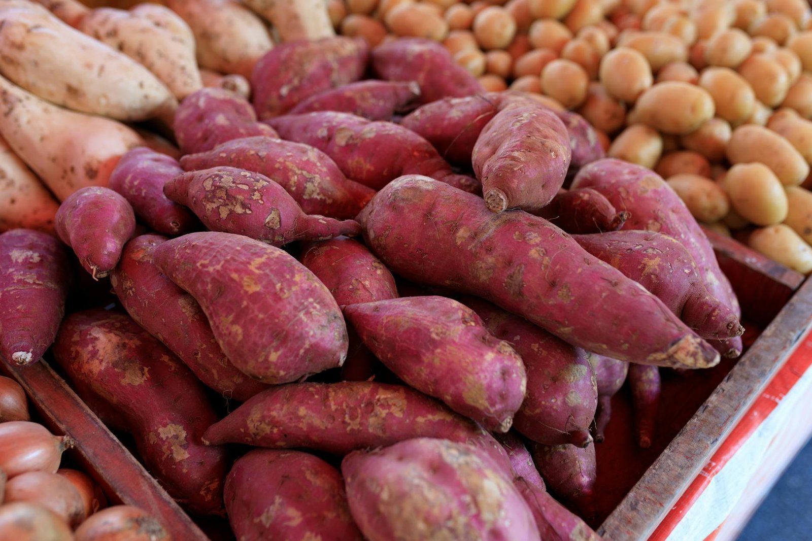 fresh sweet potatoes at market display