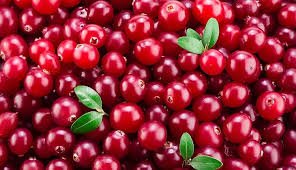 Cranberries Are a Top Superfood