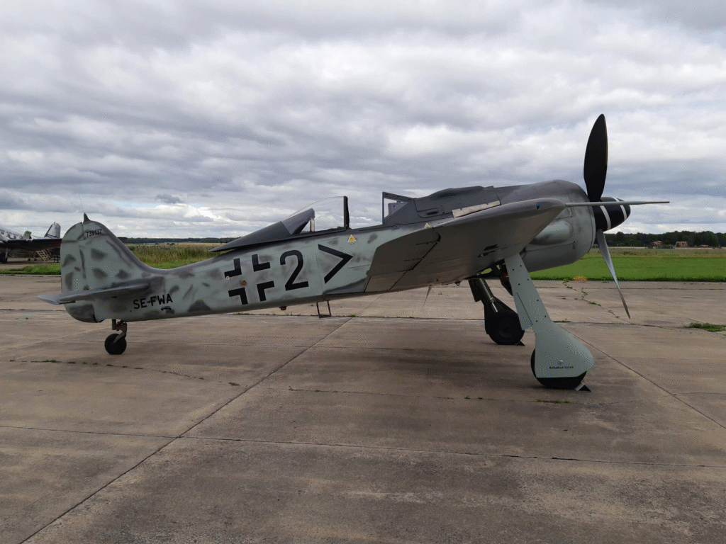 Focke-Wulf Fw 190 F-8: The Most Versatile Ground-Attack Fighter of World War II 3 image 7459