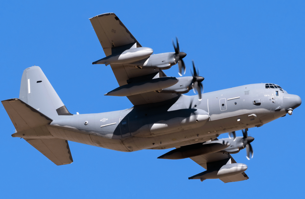 8 Most Powerful Elements of the Kadena Elephant Walk 3 image 7750