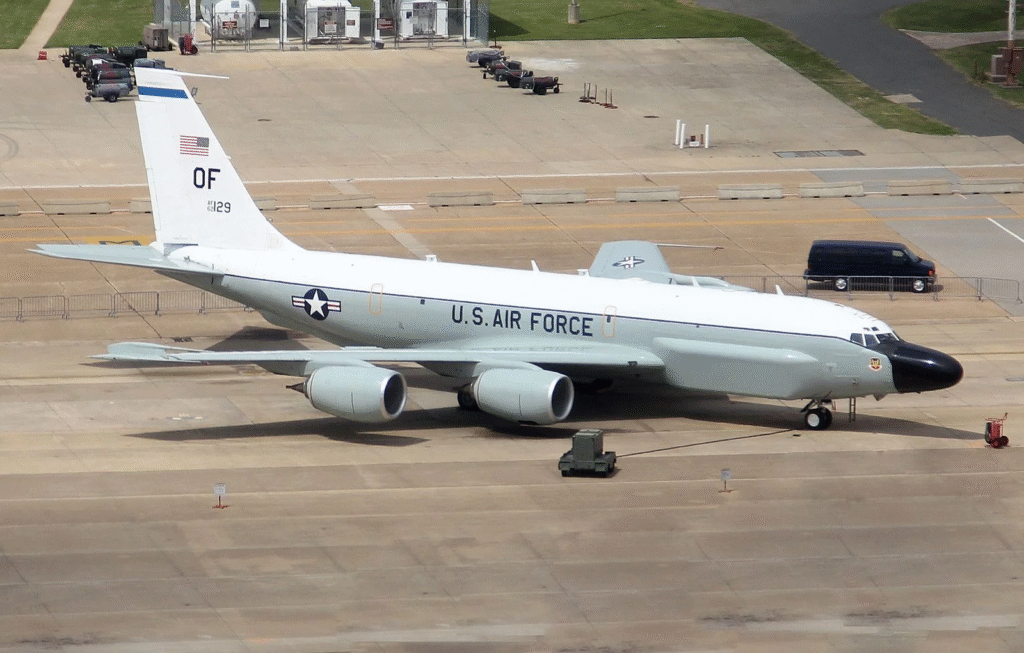 8 Most Powerful Elements of the Kadena Elephant Walk 9 image 7755